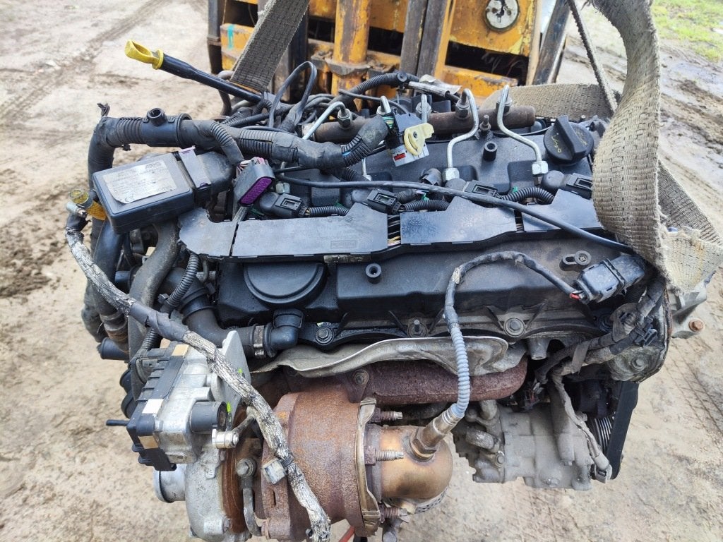 Moteur DRFB Complet FORD TRANSIT, Autos : Pièces & Accessoires, Moteurs & Accessoires, Alfa Romeo, Pièces américaines, Audi, BMW