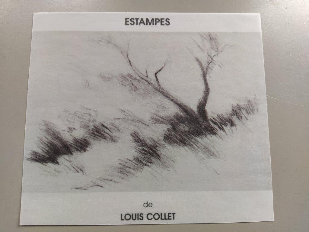 reproductie fotoprint Tuymans,Borremans,Morris,Broucke Koen, Ophalen of Verzenden