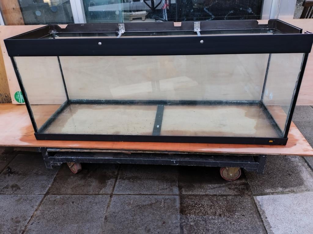 1,5m juwel aquarium, Dieren en Toebehoren, Ophalen