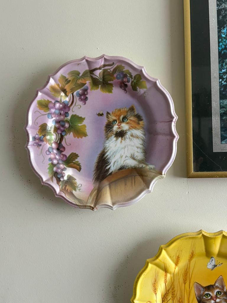Set van 4 decoratieve kattenborden, Ophalen
