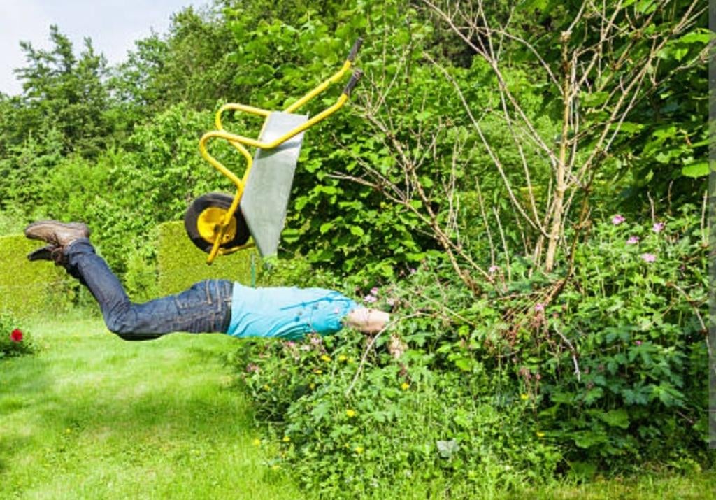 Op zoek naar een CP7800-tuinman, Ophalen