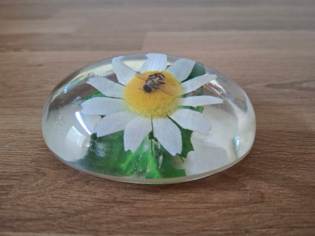 Vintage lucite presse-papier met madeliefje en bij, Antiek en Kunst, Ophalen of Verzenden