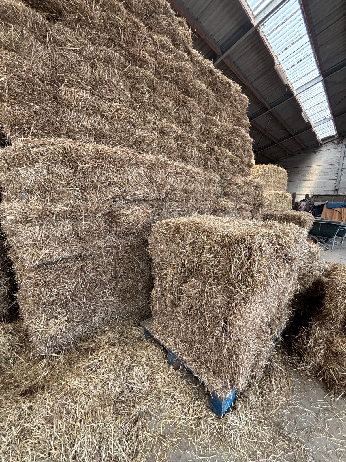 Kleine pakken hooi 20kg, Enlèvement