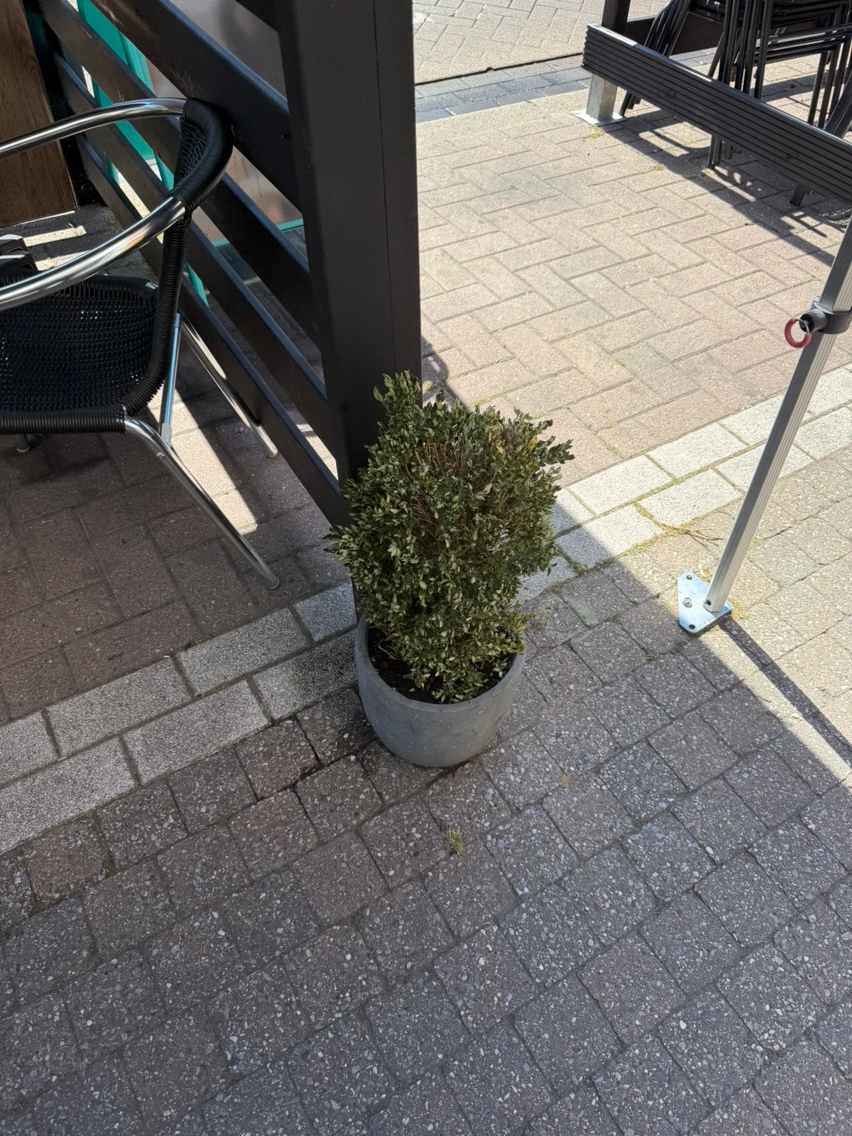 Gratis bloembakken / plantenbakken, Tuin en Terras, Ophalen, Gebruikt, Minder dan 5 m², Terrastegels