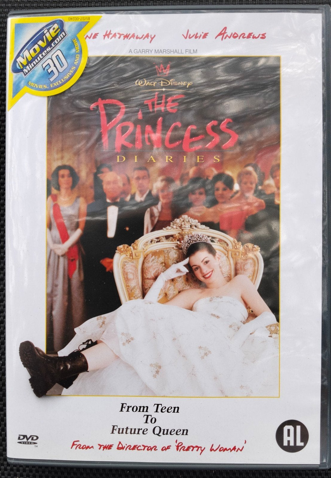 The princess Diaries, CD & DVD, DVD | Comédie, Néerlandais, Comédie romantique, Comme neuf, Enlèvement
