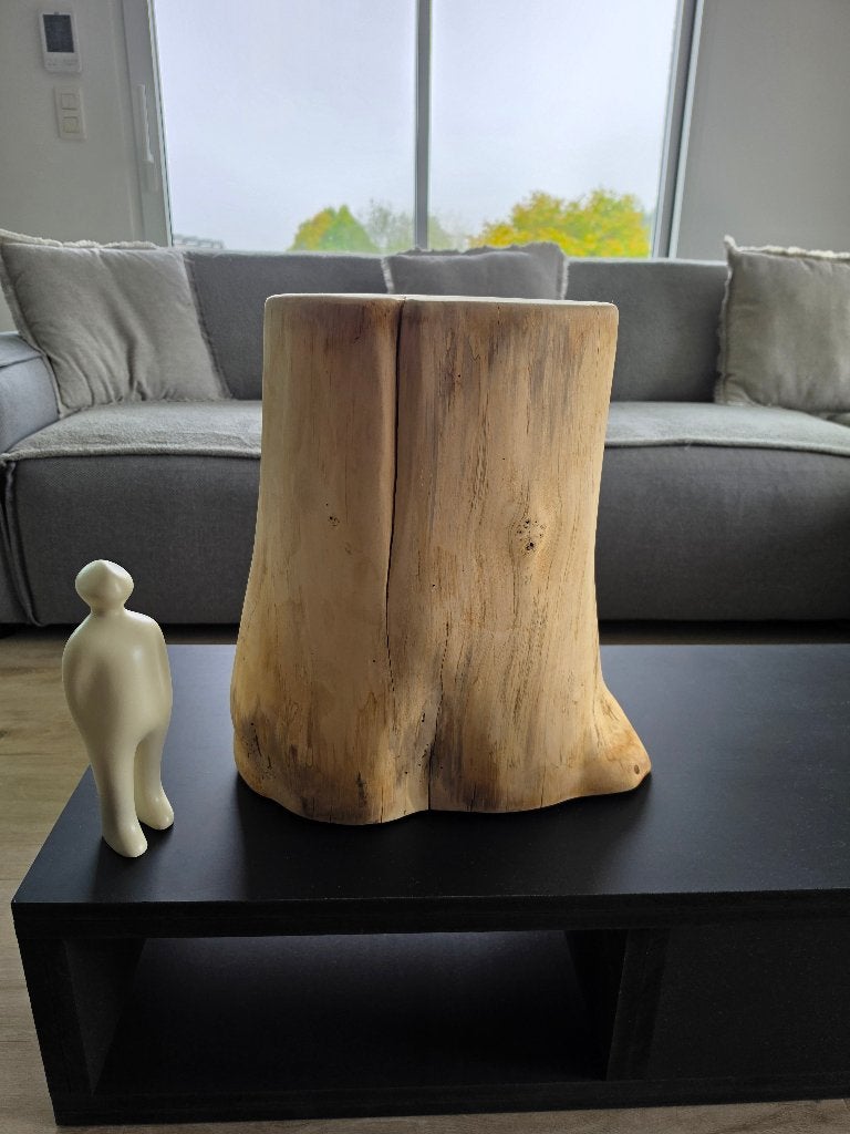 Table basse (souche), Maison & Meubles, Neuf, 50 – 75, Moderne/Contemporain/Rustique, Rond