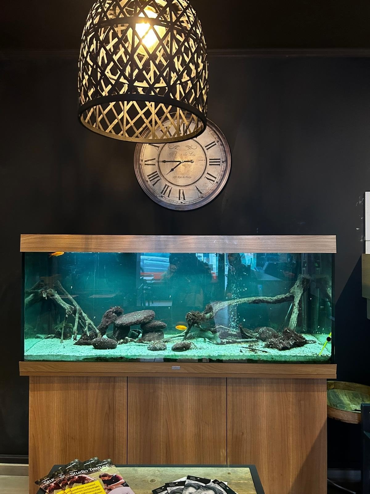 JUWEL Rio 400L + eiken meubel, Dieren en Toebehoren, Vissen | Aquaria en Toebehoren, Ophalen, Decoratie, JBL