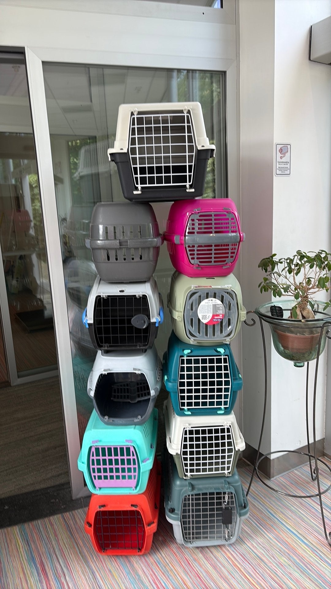 Katten transport bak, Dieren en Toebehoren, Ophalen, Zo goed als nieuw