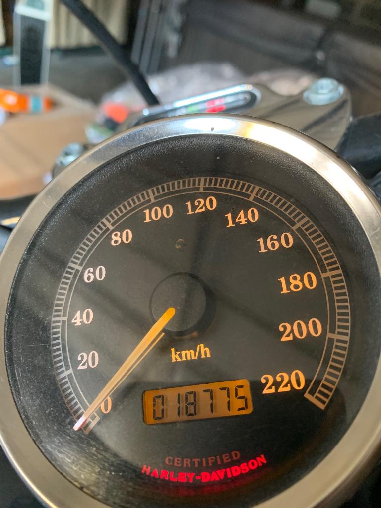 Harley Davidson Sportser 883, Motoren, Chopper, Gebruikt, Particulier, Meer dan 35 kW