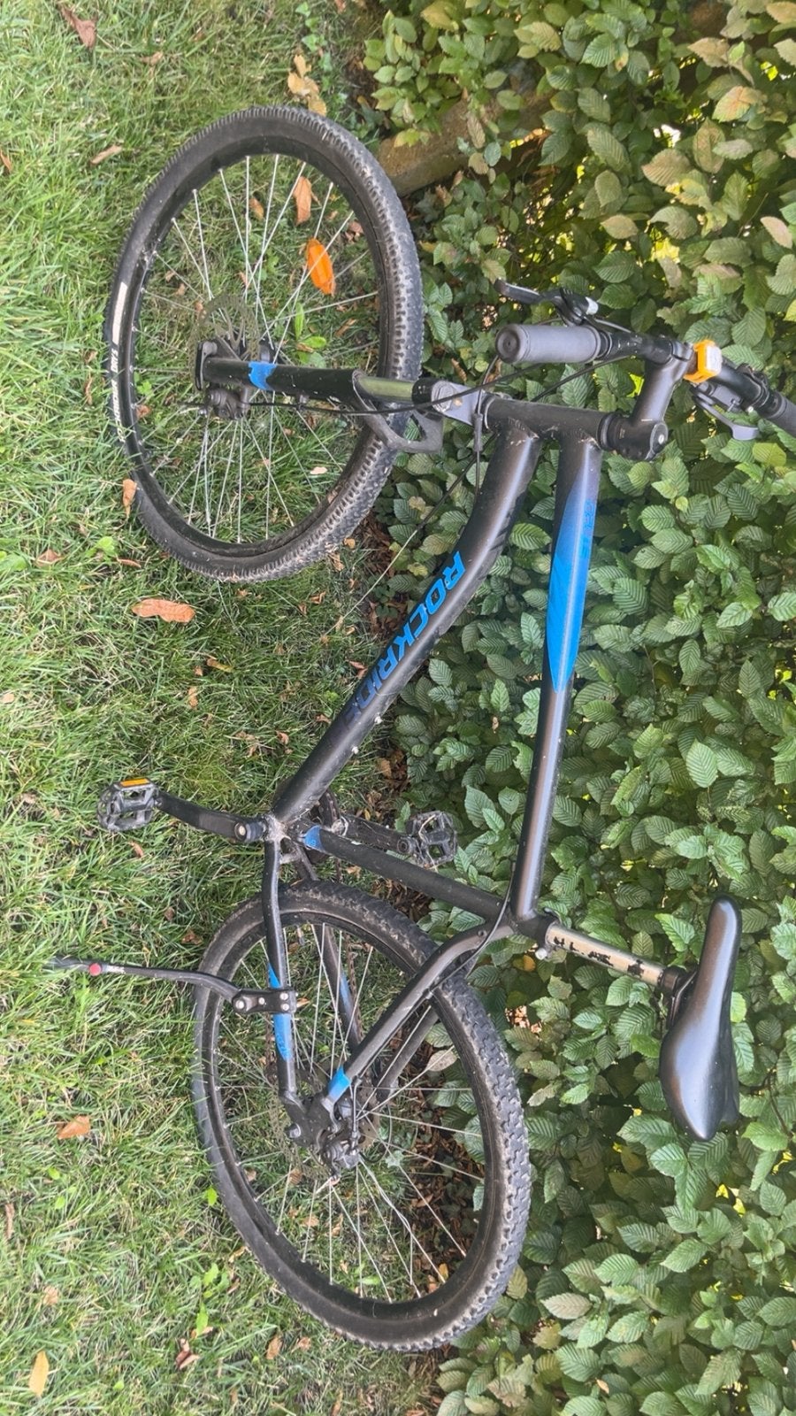 VTT Rockrider, Vélos & Vélomoteurs, Enlèvement, Utilisé, Frein à disque, 24 pouces ou plus