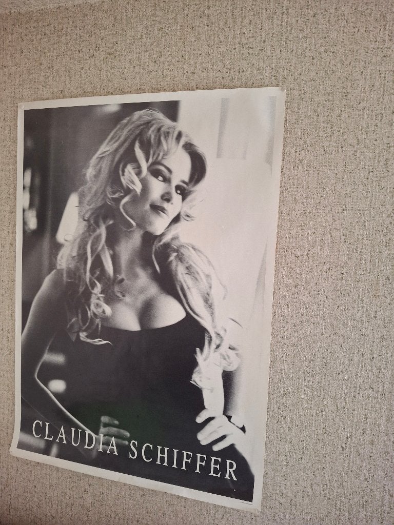 Poster Cladia Schiffer, Ophalen, Rechthoekig Staand, Deurposter of groter, Zo goed als nieuw