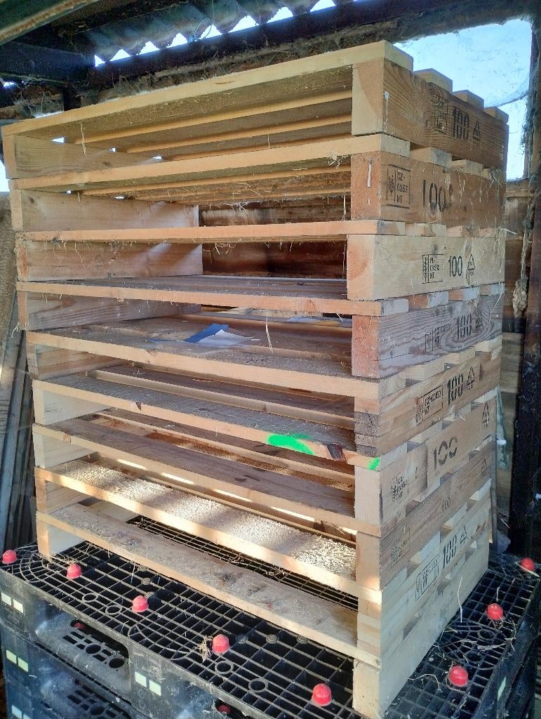 9 Paletten, Doe-het-zelf en Bouw, Hout en Planken, Ophalen, Minder dan 200 cm