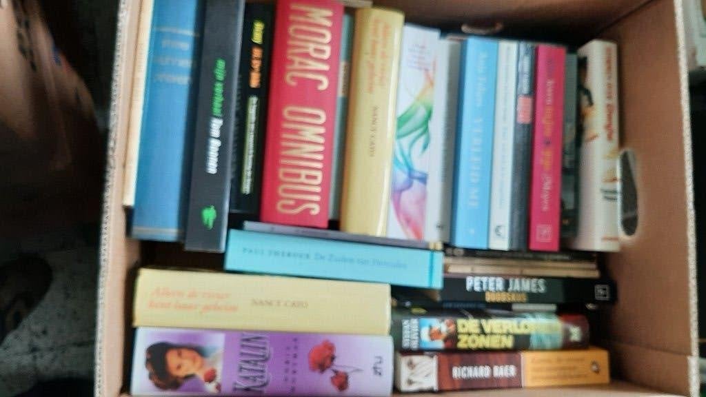 1 lot romans, Boeken, Ophalen