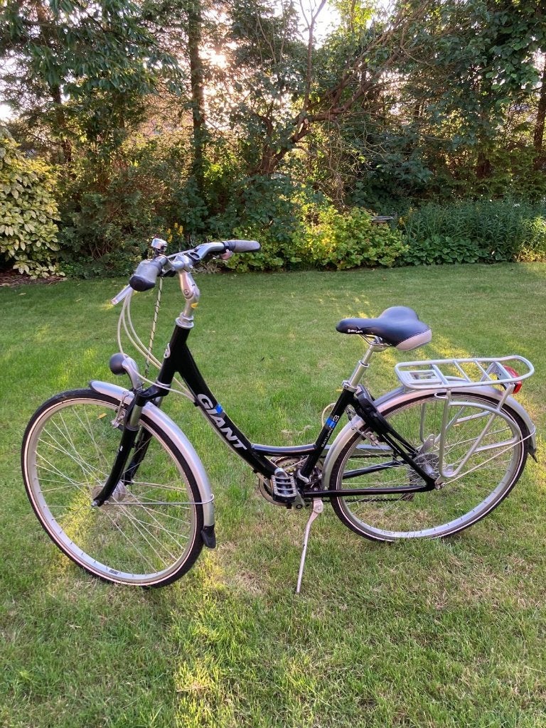 Damesfiets, Fietsen en Brommers, Ophalen, Velgrem, Versnellingen, Giant