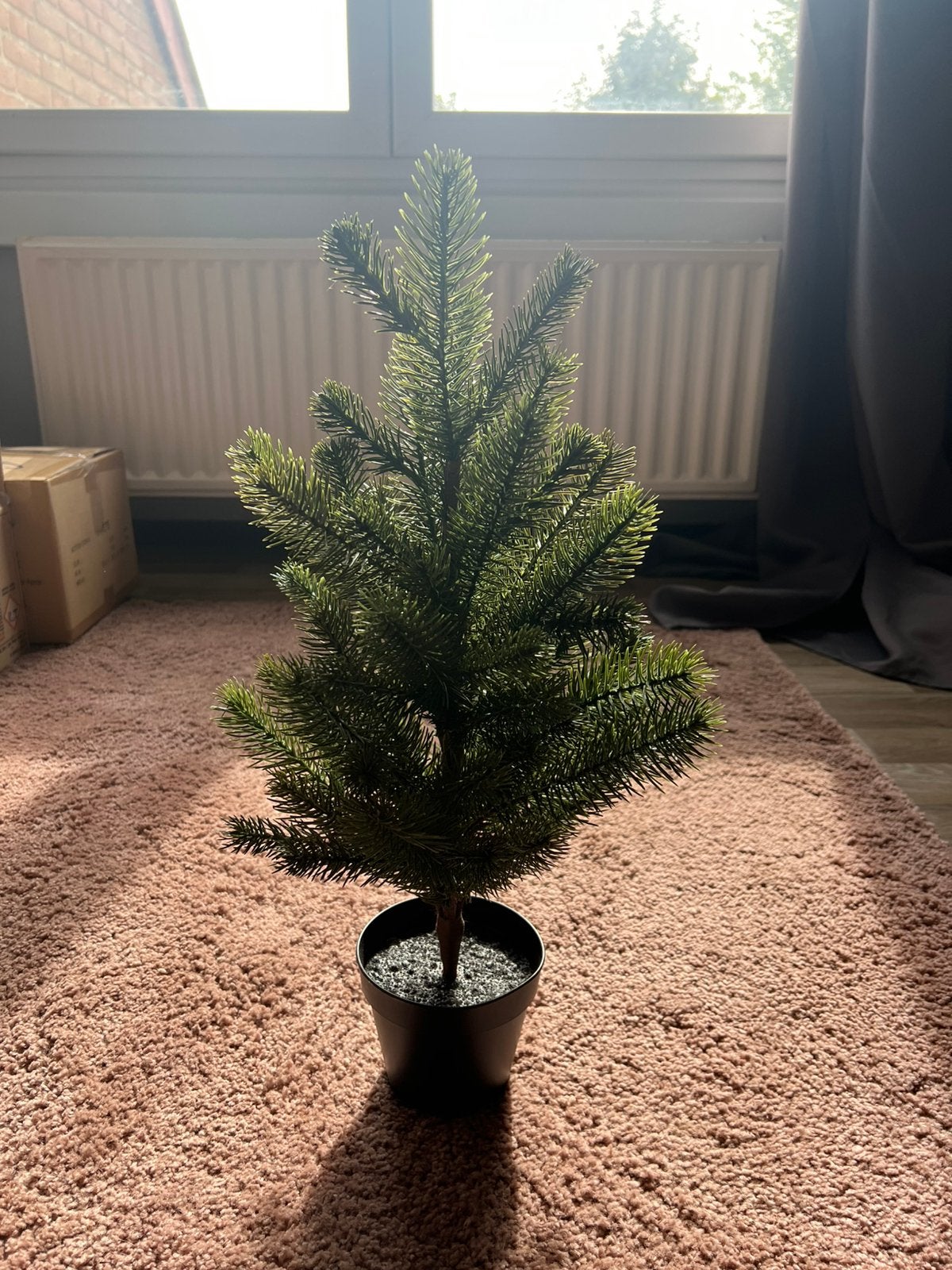 Te koop kleine kerstboom, Ophalen