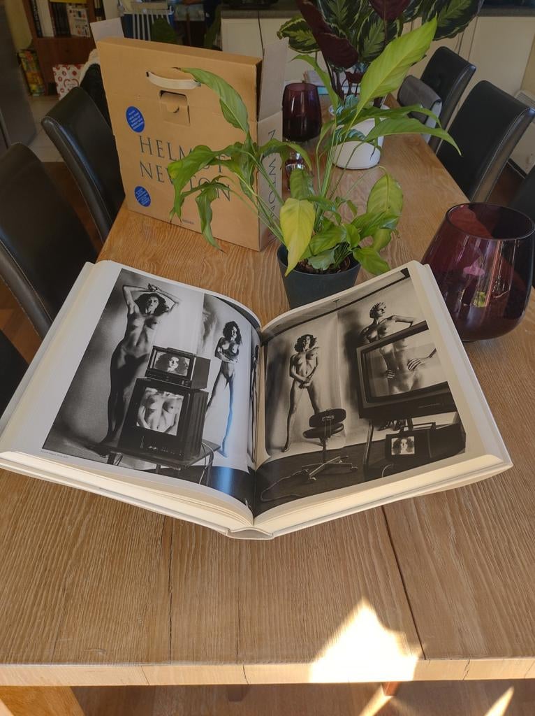 Helmut Newton Sumo, Bricolage & Construction, Casiers & Boîtes, Comme neuf, Boîte, Envoi