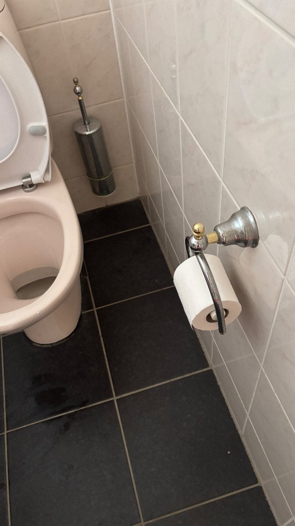 Toilet +lavabo en accessoires, + spiegel, Ophalen, Gebruikt, Toilet