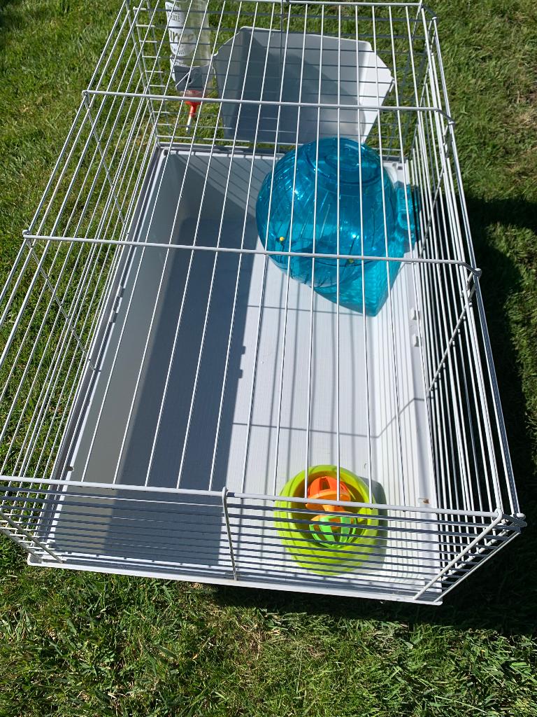 Cavia kooi en toebehoren, Cobaye, Moins de 60 cm, Cage, Comme neuf