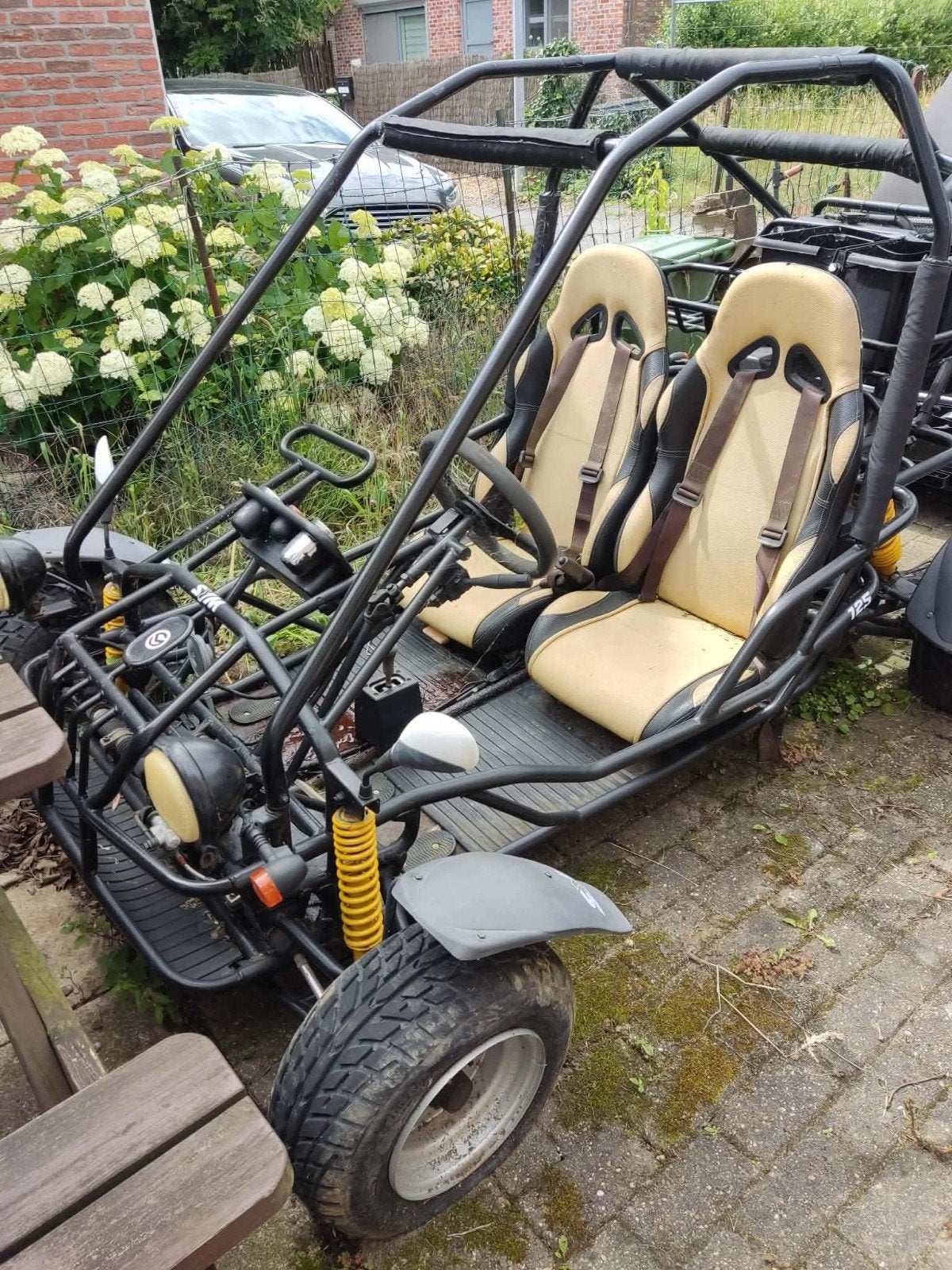 Gs moon buggy 260cc, Motoren, Ophalen