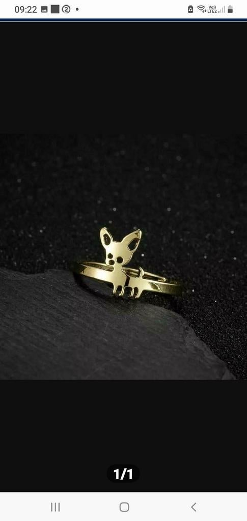 Bague chihuahua, Ophalen of Verzenden
