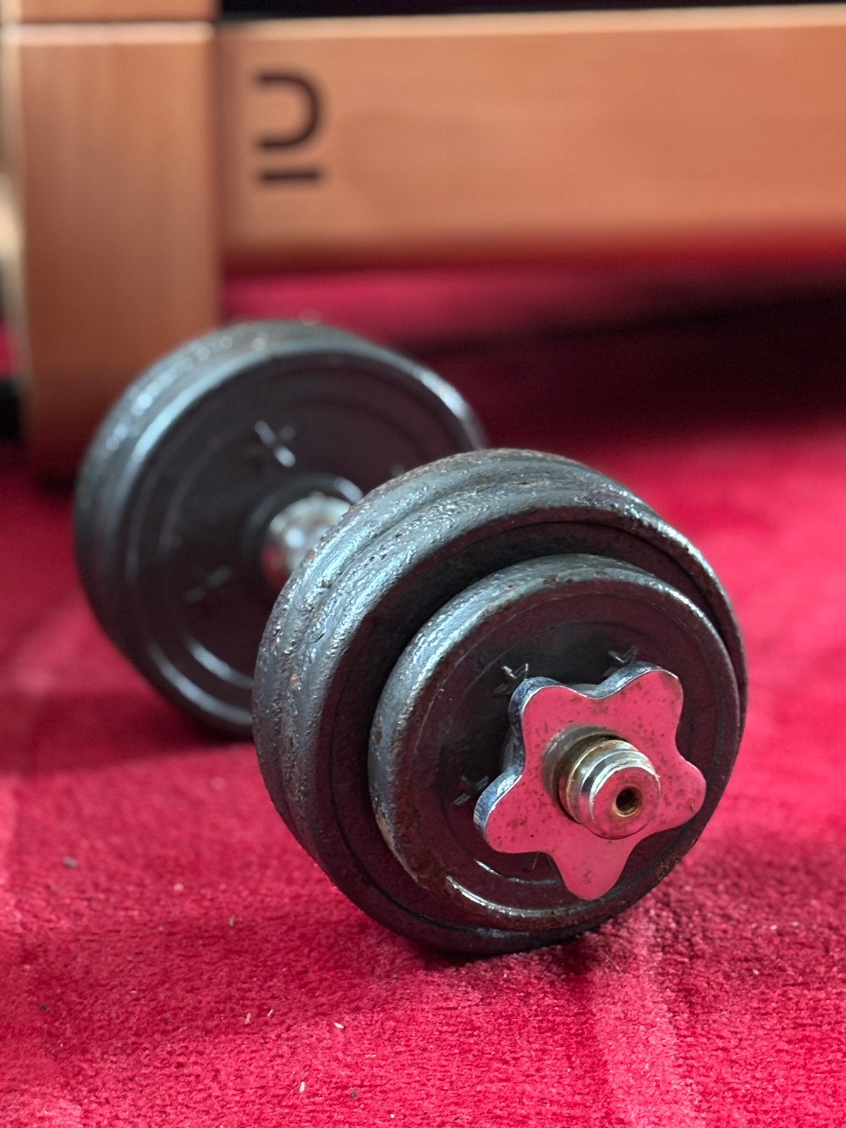 Halterset van 15 kg in gietijzer, Sport en Fitness, Ophalen, Gebruikt