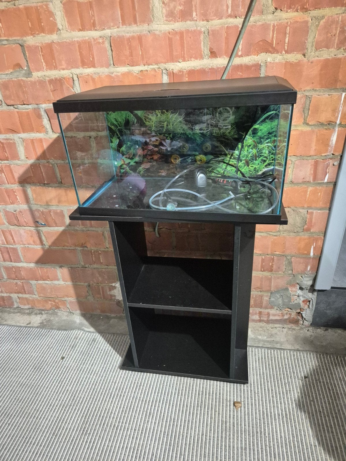 Aquarium met Tafel, Dieren en Toebehoren