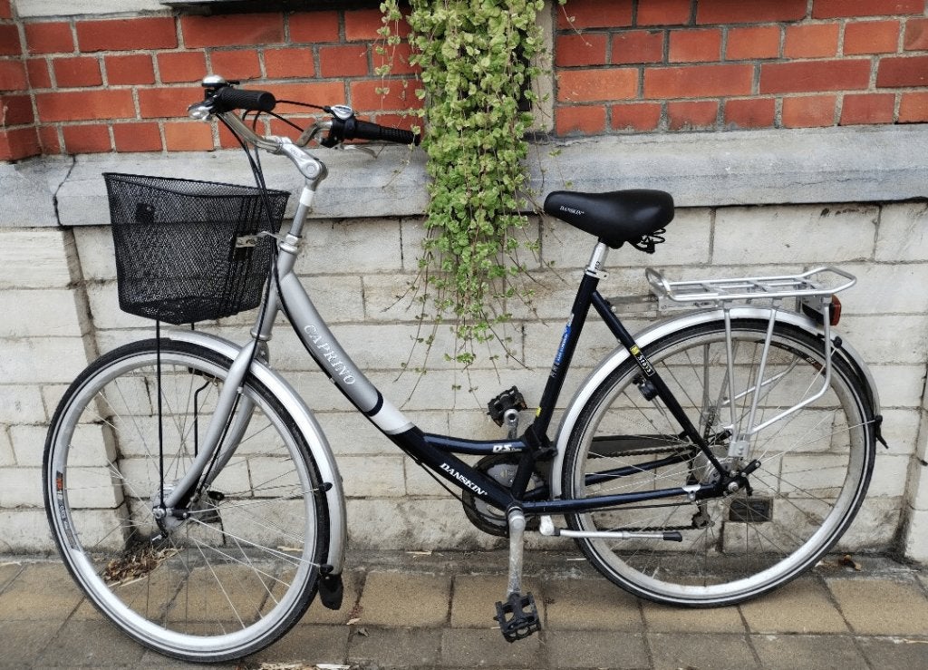 Damesfiets Danskin Caprino, Fietsen en Brommers, Fietsen | Dames | Damesfietsen, Ophalen, Gebruikt, Overige merken, Versnellingen