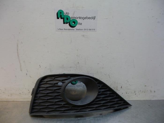 Pare-chocs grille d'un Seat Ibiza (Ibiza 08-), -, 3 mois de garantie, Utilisé, -