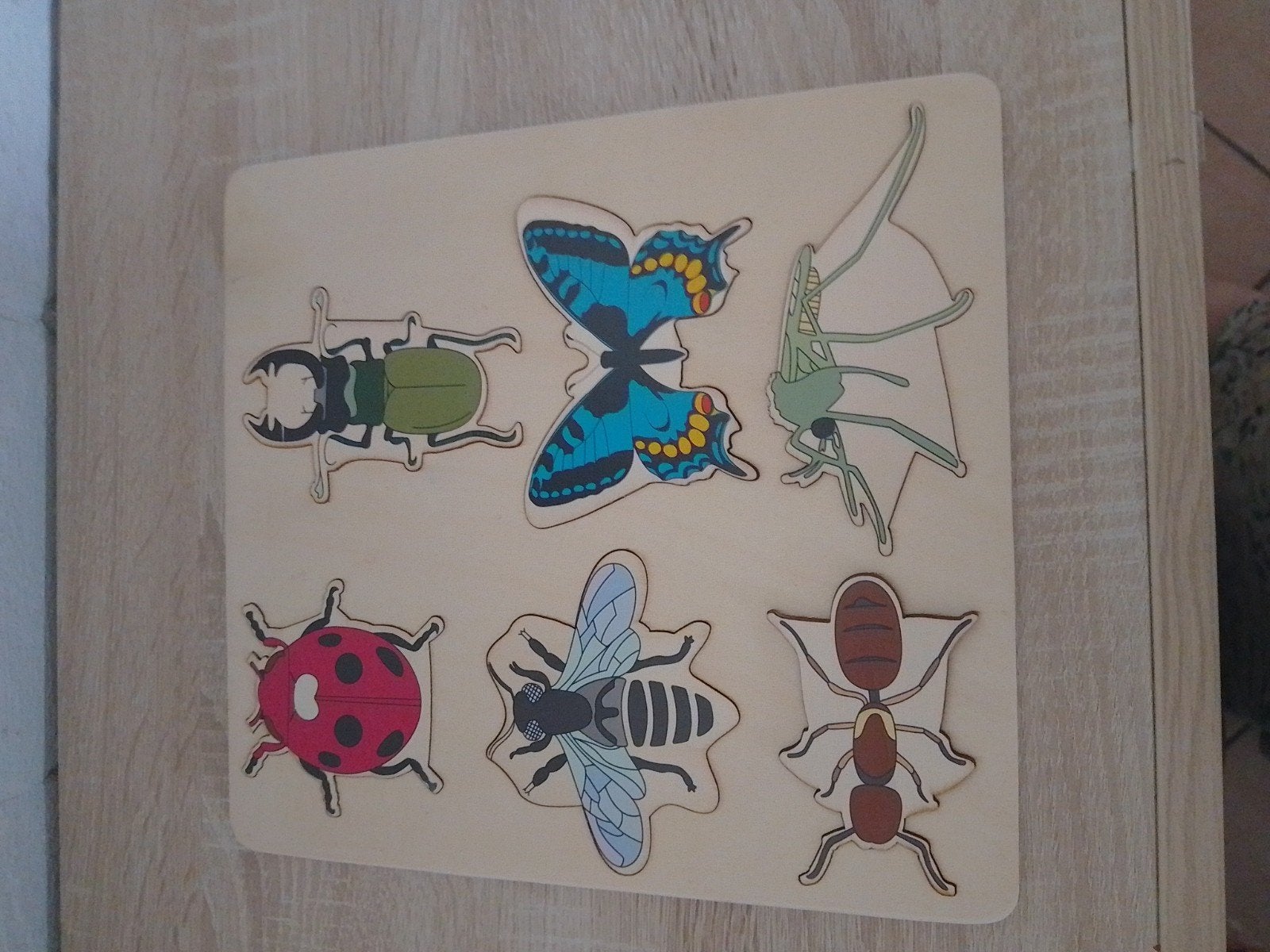 Houten puzzel cyclus verschillende insecten, Ophalen of Verzenden