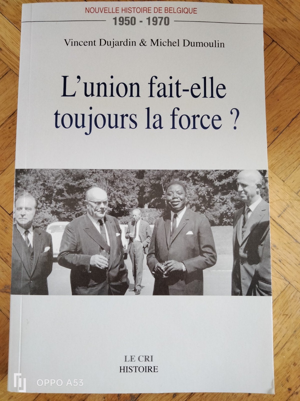 L'union fait elle toujours la force ? Dujardin Dumoulin, Boeken, Ophalen of Verzenden