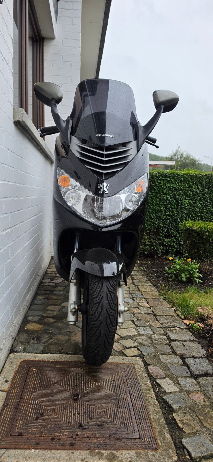 Peugeot Elystar 50 cc Classe A, Particulier, Scooter