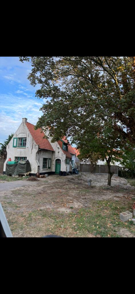 Dakpannen Koramic Pottelberg