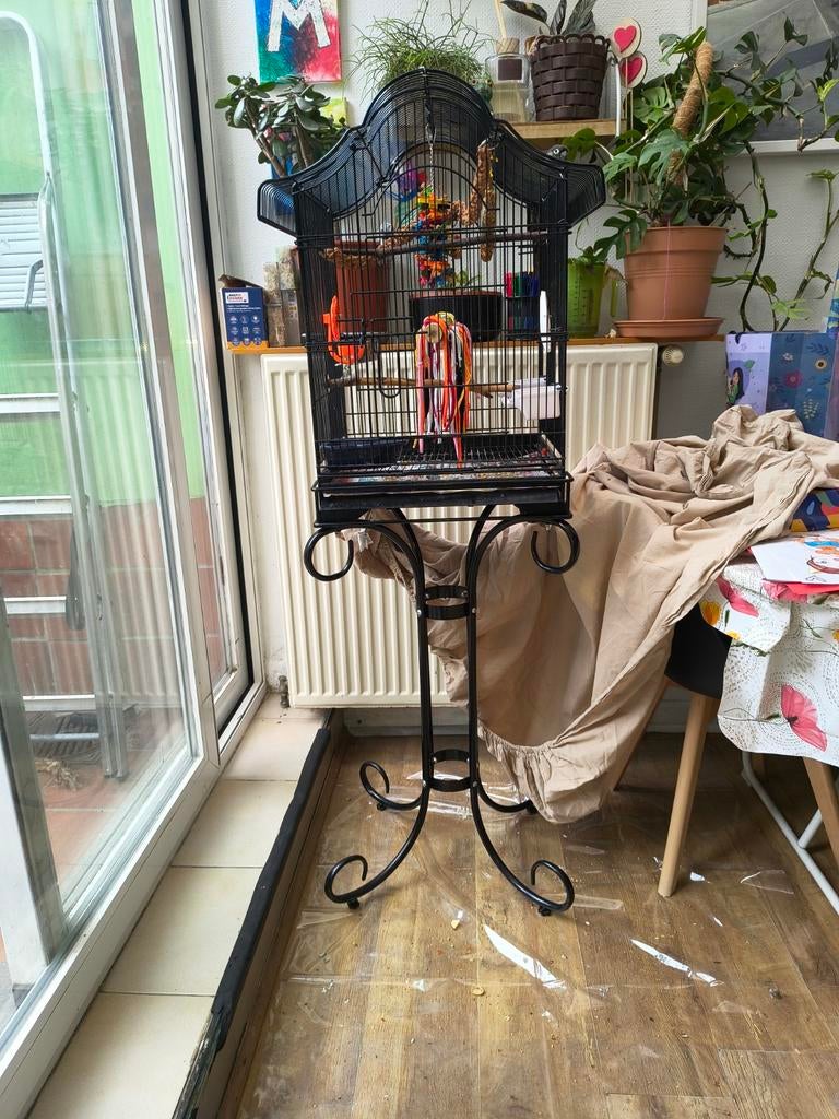 Leuke kooi voor een papegaai. In uitstekende conditie., Dieren en Toebehoren, Zo goed als nieuw, Metaal, Vogelkooi
