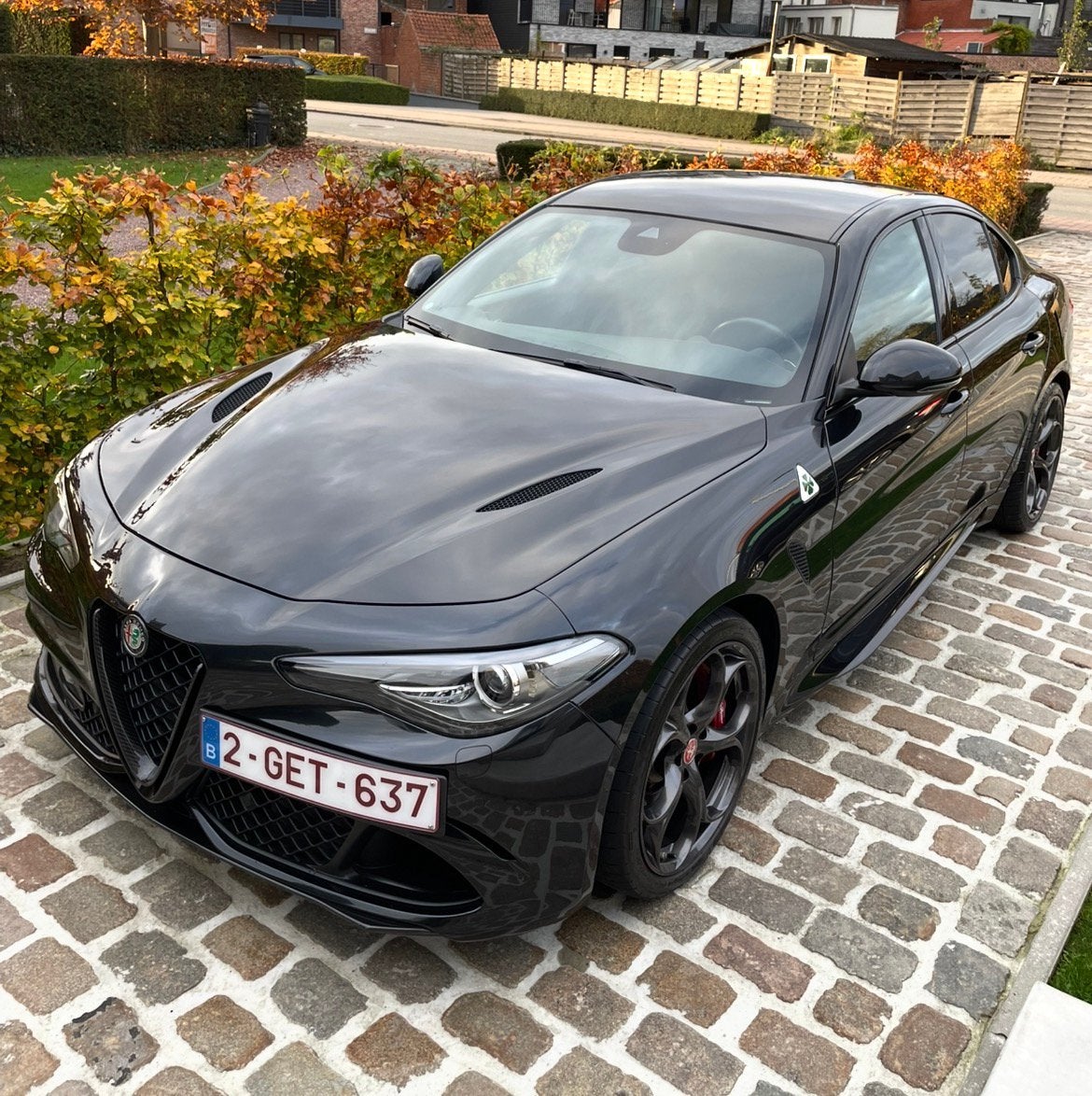 Alfa romeo Giulia Quadrifoglio, Autos, Cuir et Alcantara, Achat, 375 kW, Euro 6