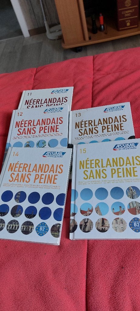 Livre néerlandais sans peine, Enlèvement, Neuf, Autre