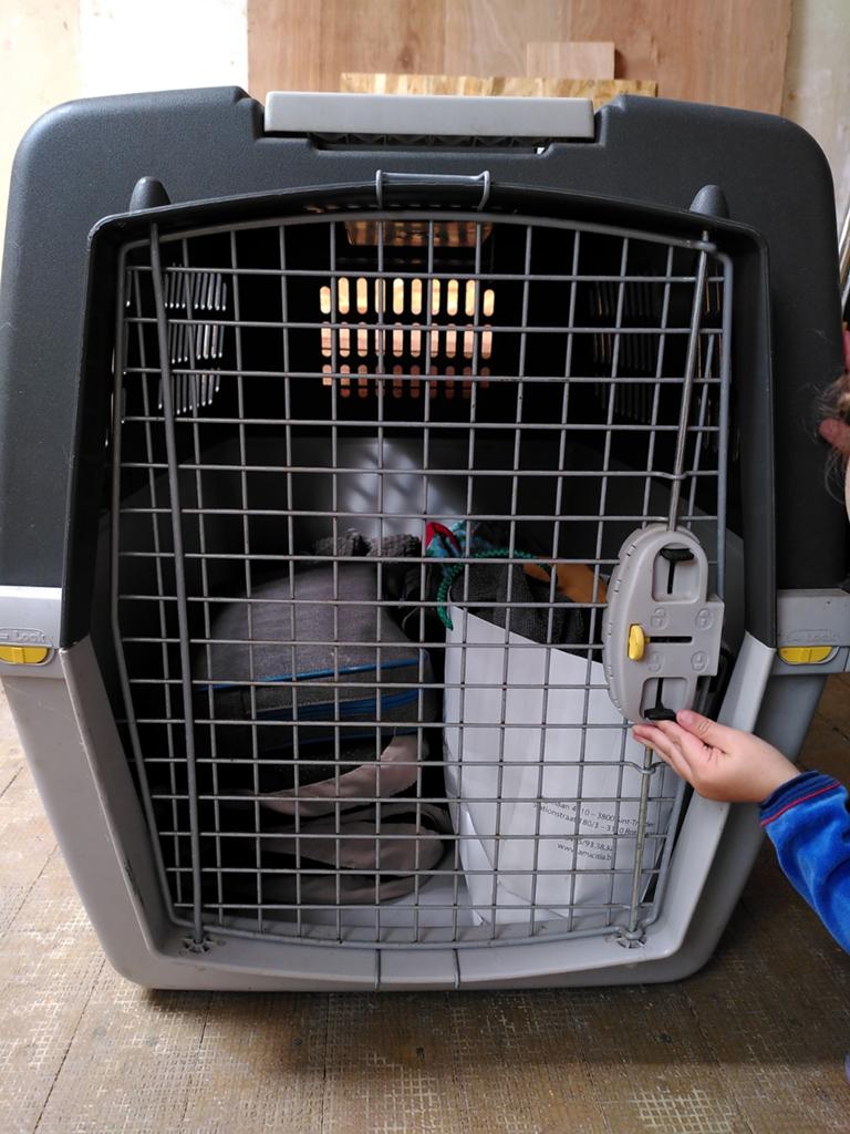 Gulliver 6 - transportbox, Dieren en Toebehoren, Transportboxen, Ophalen