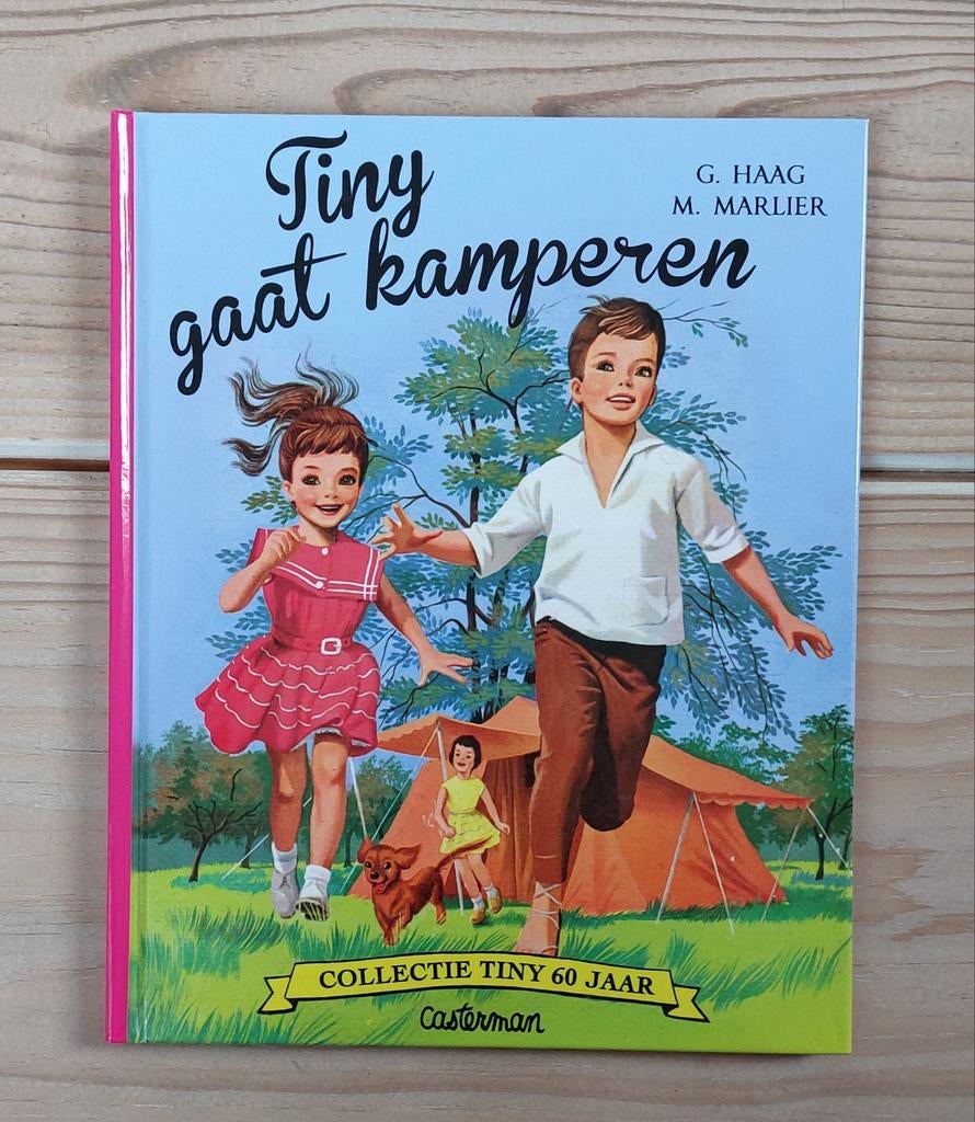 Gijs Haag - Tiny gaat kamperen, Boeken, Ophalen, Zo goed als nieuw, Gijs Haag