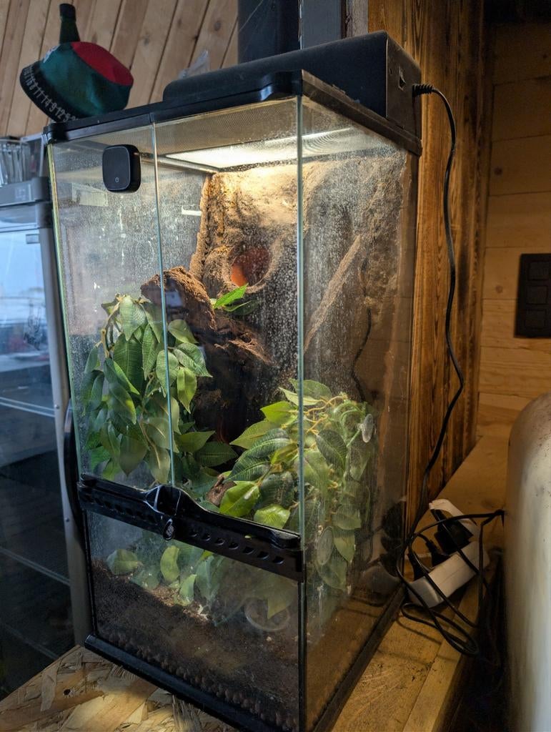 Alle soorten terrariums te koop, Ophalen