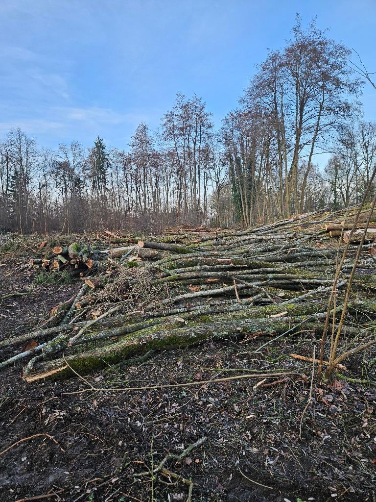 Op stam 15cuub, Ophalen, Overige soorten