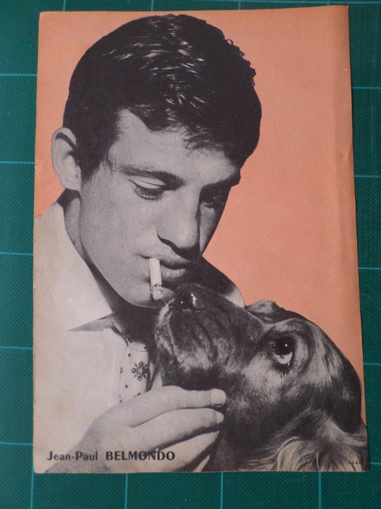 Jean-Paul Belmondo - poster 25x18 - 1964, Enlèvement ou Envoi, Rectangulaire vertical, Utilisé, Cinéma et TV