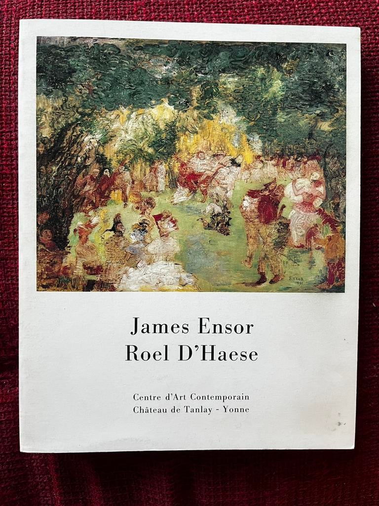 Boek kunst James Ensor Roel D’Haese, Boeken, Ophalen of Verzenden, Beeldhouwkunst