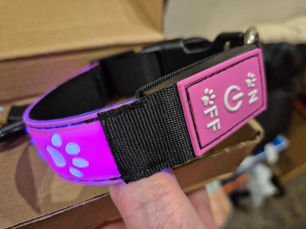 Collier LED pour chien - Geel - Putte, Enlèvement ou Envoi, Neuf