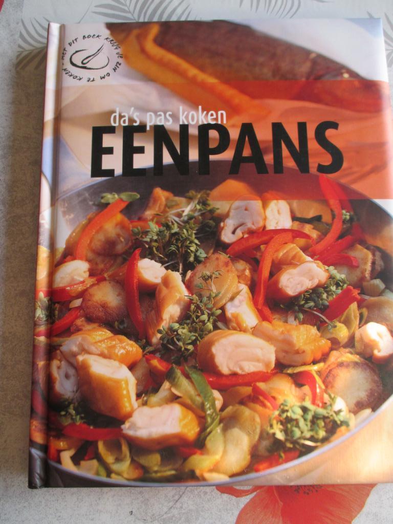 boek éénpans koken nieuw, Enlèvement ou Envoi, Neuf, Autres régions, Plat principal