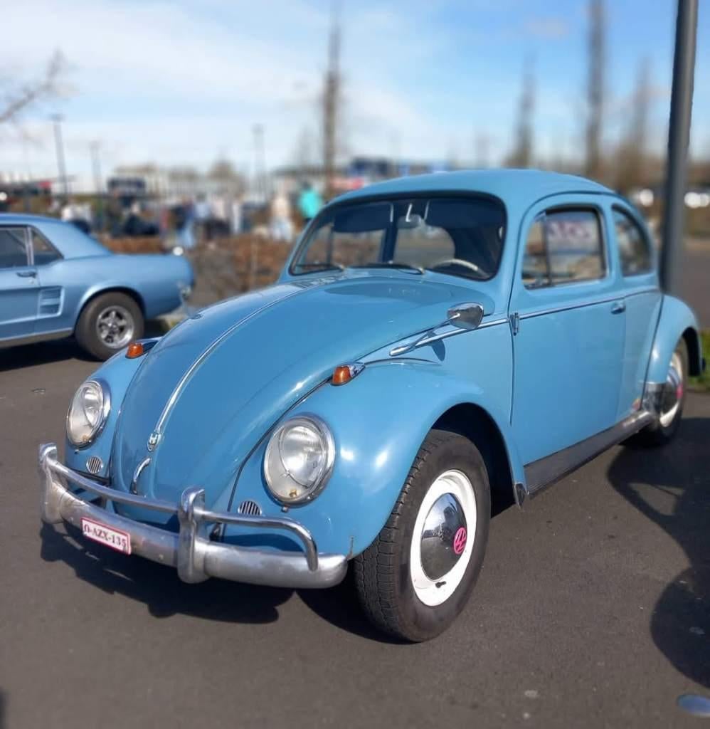 Cox 1959 deluxe, Autos, Volkswagen, Entreprise, Coccinelle, Automatique, 1600 cm³