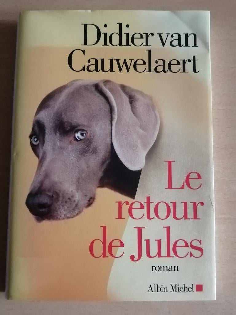 Le retour de Jules de Didier Van Cauwelaert, Boeken, Romans, Ophalen of Verzenden