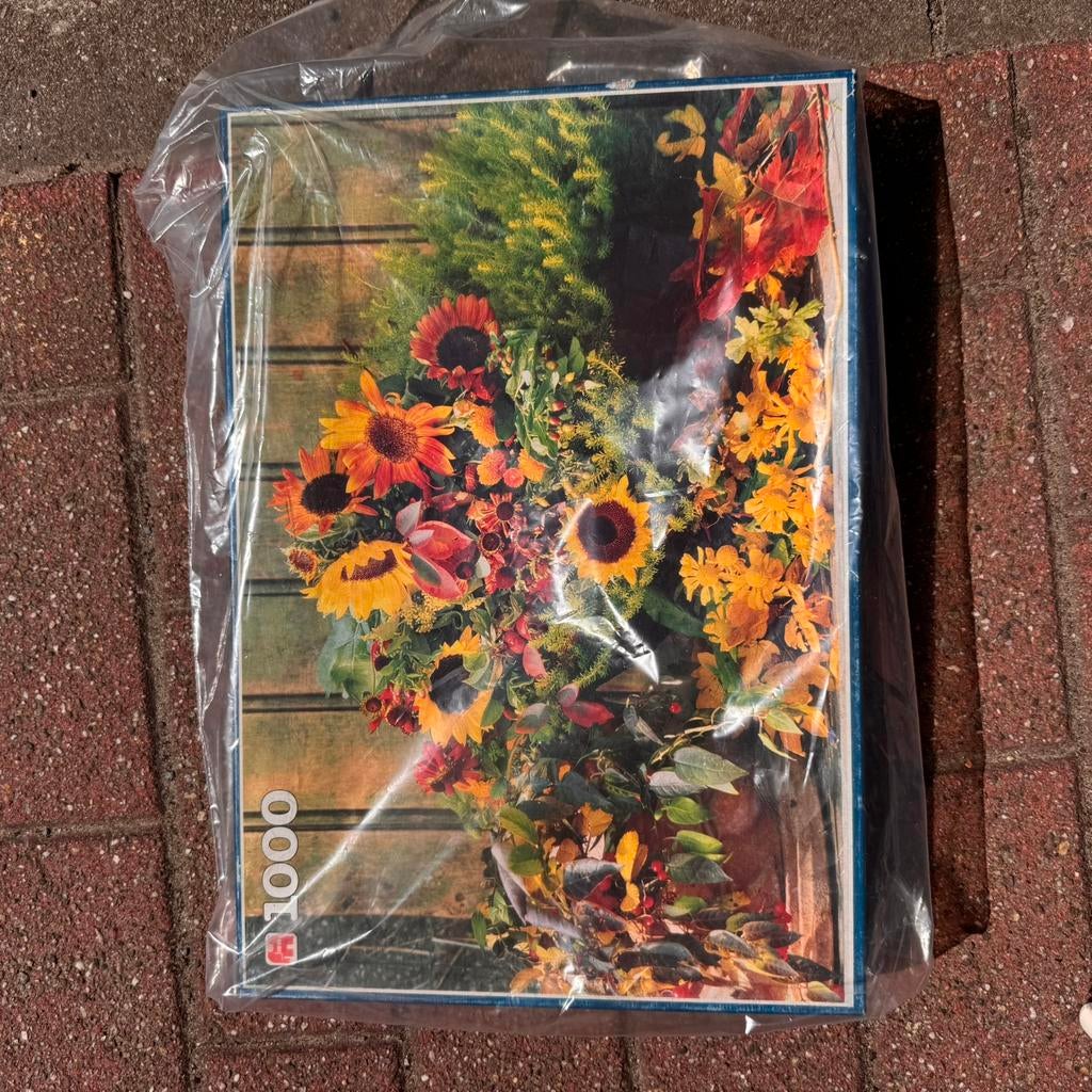 Puzzels voor volwassenen, Ophalen of Verzenden, 500 t/m 1500 stukjes, Zo goed als nieuw, Legpuzzel