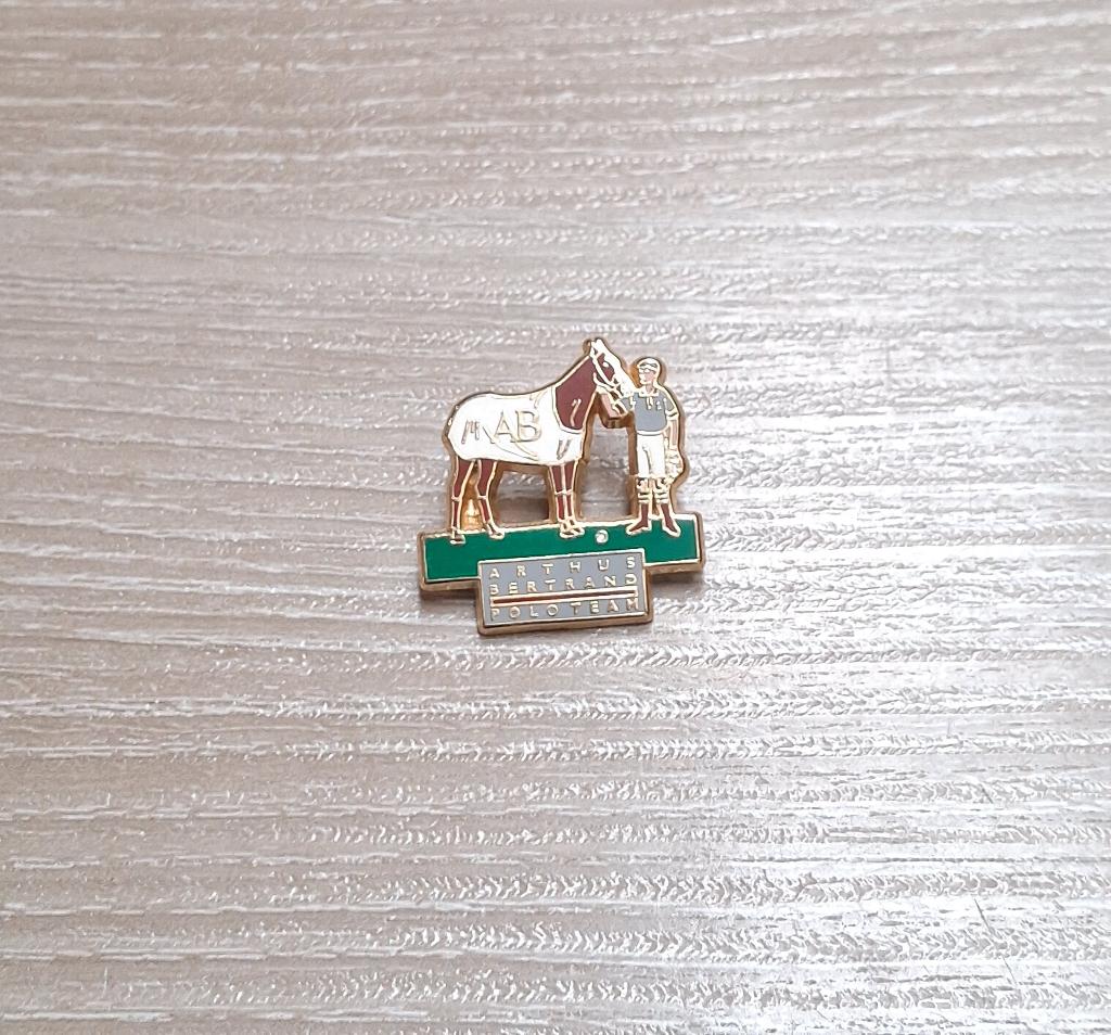 PIN - ARTHUS BERTRAND - POLO TEAM, Envoi, Utilisé, Marque, Insigne ou Pin's