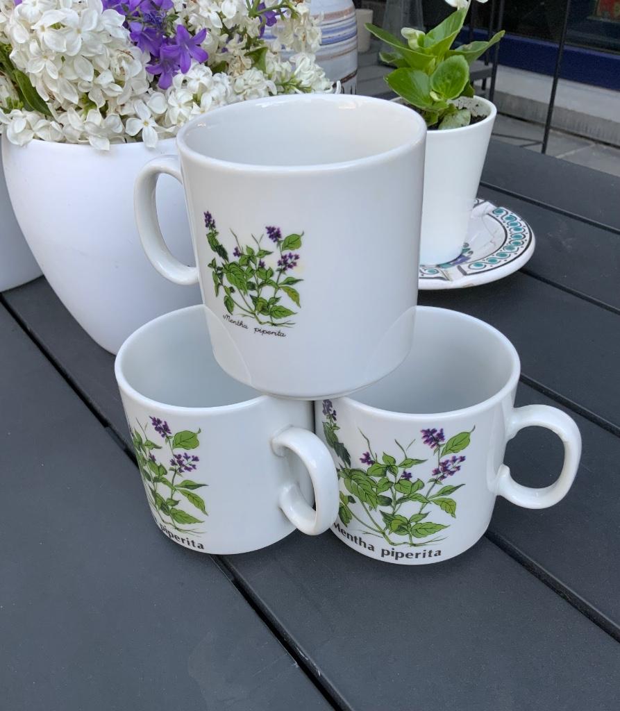 Tasses vintage décor « menthe poivrée » porcelaine, Enlèvement ou Envoi