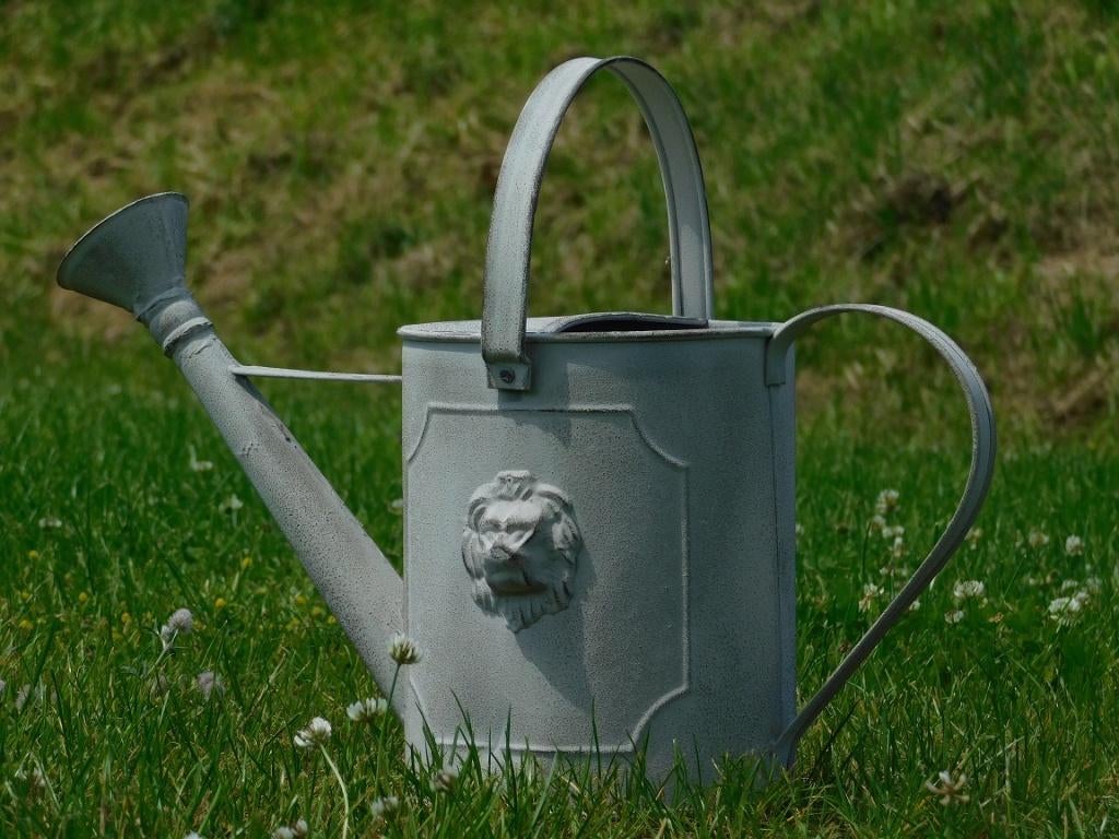 Tuingieter met Leeuwenkop - Aged Metal - 4,5 L, Ophalen of Verzenden, Metaal