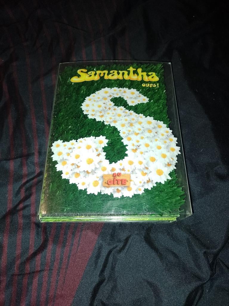 A vendre en coffret DVD l'intégral Samantha oups le gîte, À partir de 9 ans, Enlèvement ou Envoi, Comme neuf, Programmes TV ou Sketchs